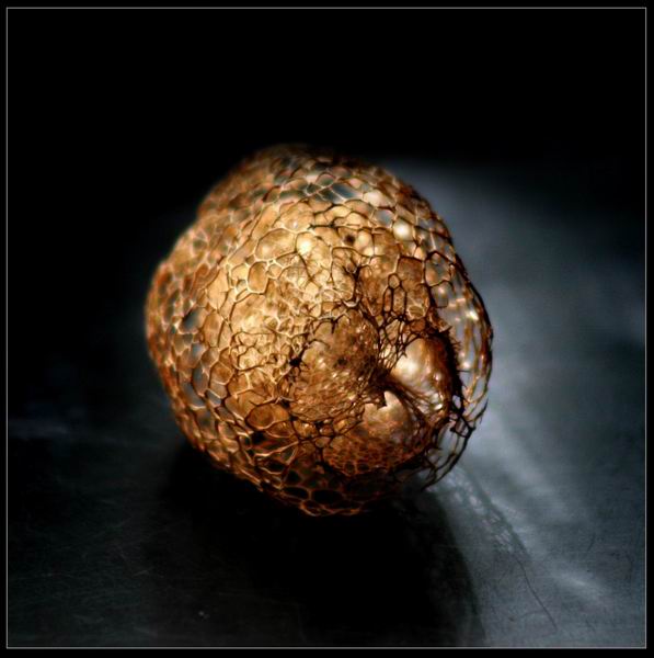 Resize of mygr_210811_011