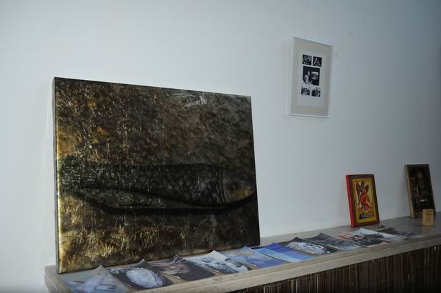 animal politic -paraschiv - mtr foto lucian muntean5180