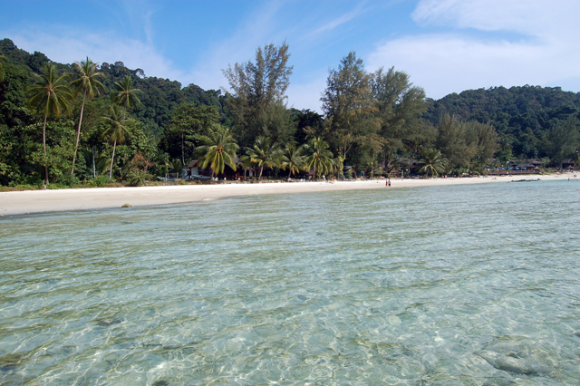 Ce anume „tratează”  art terapia?