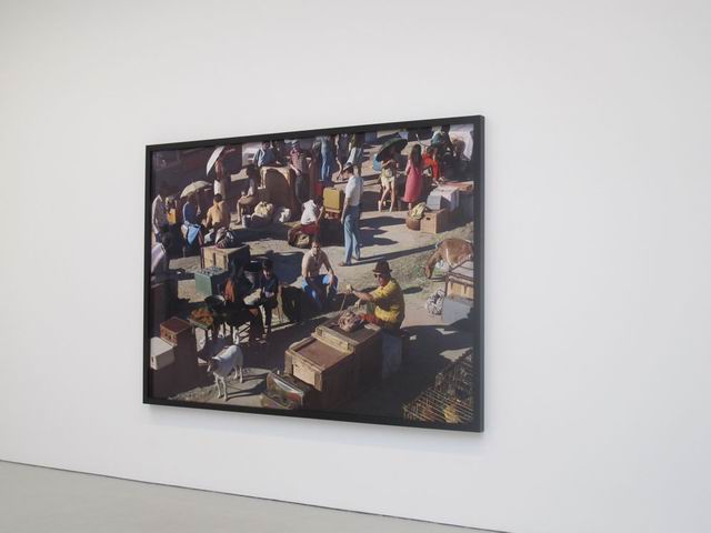 chelsea NY foto florica prevenda 05