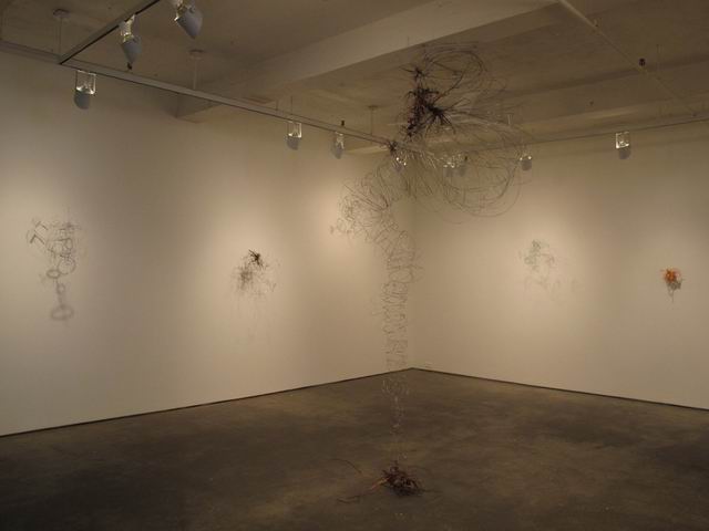 chelsea NY foto florica prevenda 07