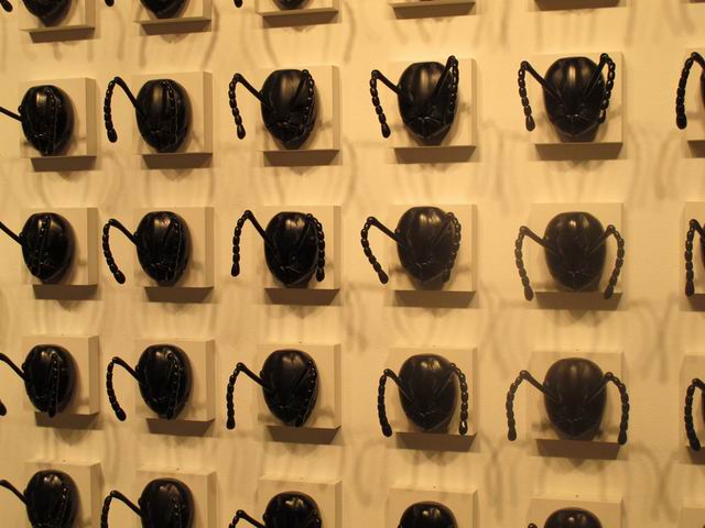 chelsea NY foto florica prevenda 10