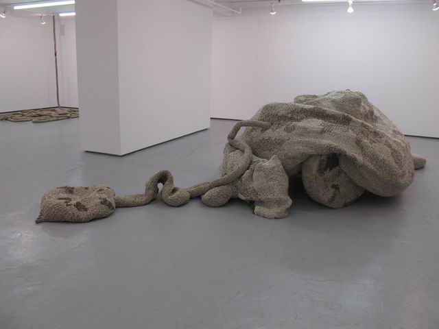 chelsea NY foto florica prevenda 15