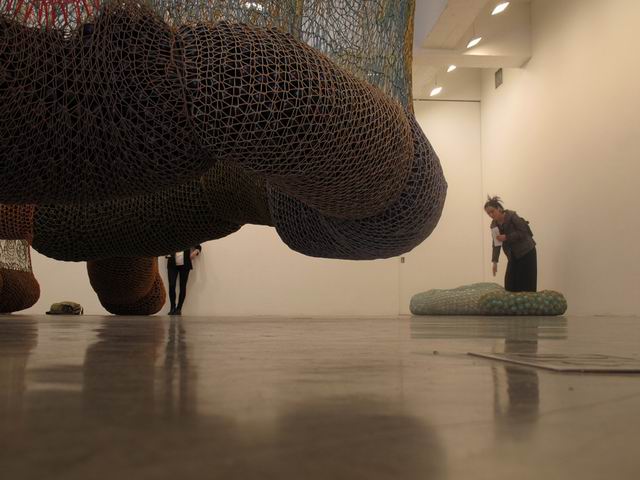 chelsea NY foto florica prevenda 20