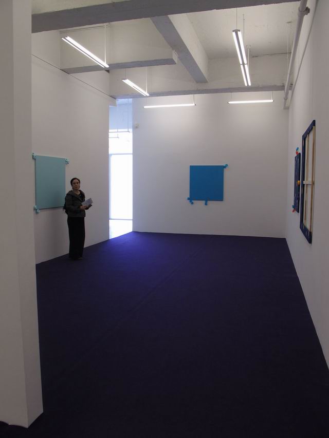 chelsea NY foto florica prevenda 25