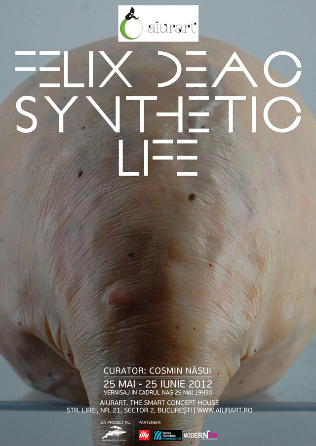 Viața sintetică a lui Felix Deac @ Aiurart București