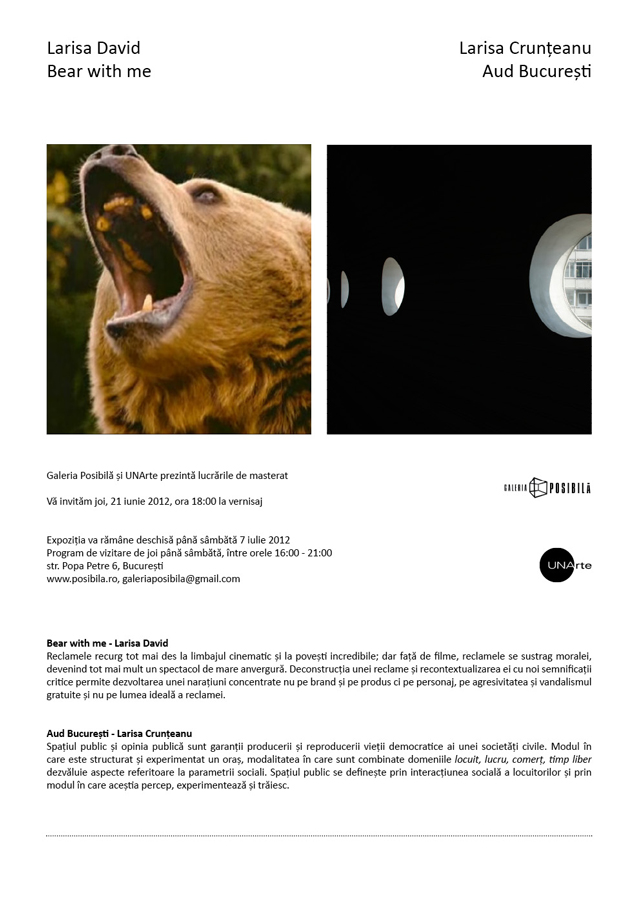 Larisa David și Larisa Crunțeanu prezintă lucrările de masterat @ Galeria Posibilă, București