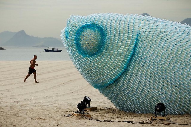 Giant Fish Sculptures Made from Discarded Plastic Bottles in Rio
