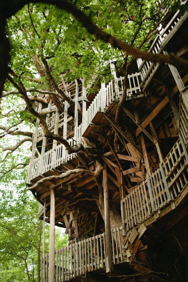 tree-2-640x960