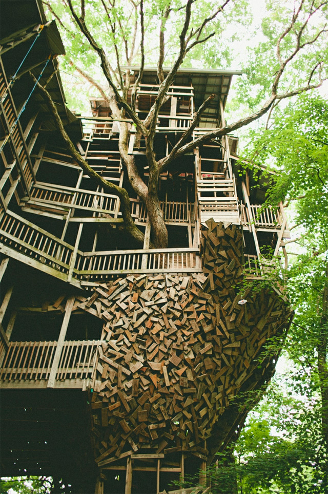tree-3