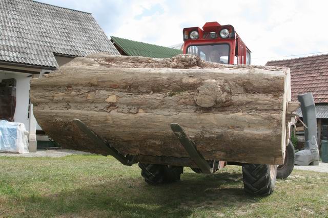 ArtFORest 2012 – Andezit