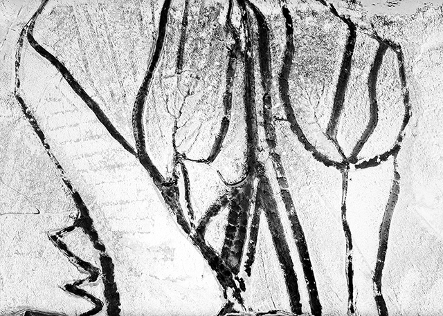 Cédric Van Turtelboom @ BEIJING