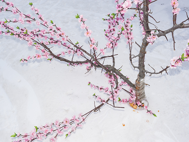 Winter_09