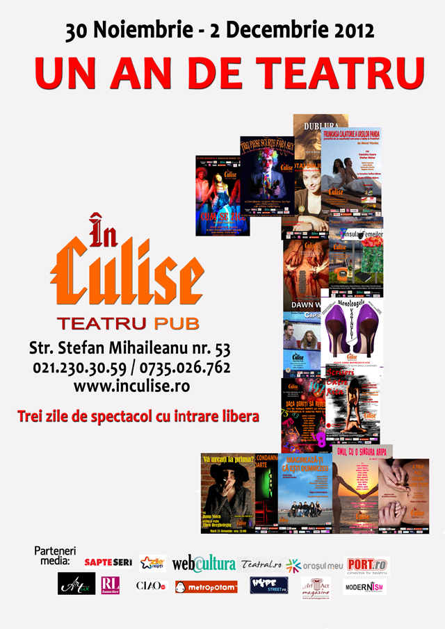 Un an de teatru In Culise