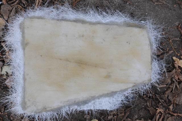 ciprian paleologu - uman - foto lucian muntean 002