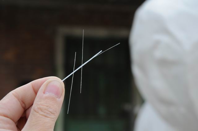 ciprian paleologu - uman - foto lucian muntean 008