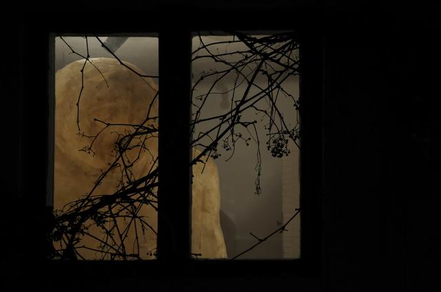 ciprian paleologu - uman - foto lucian muntean 037