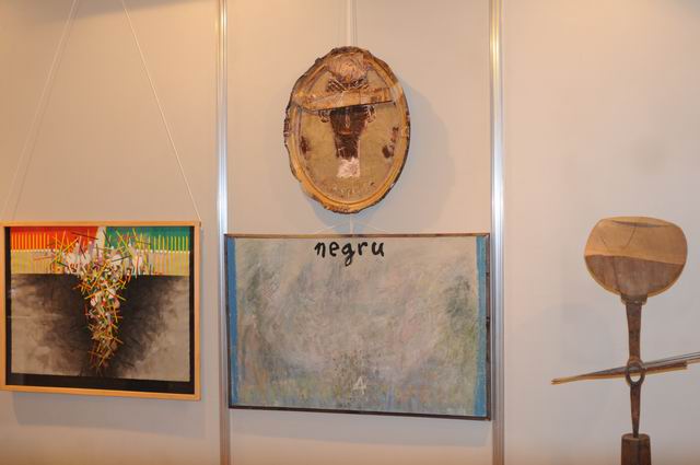 salonul de iarna 2012 - foto lucian muntean 30