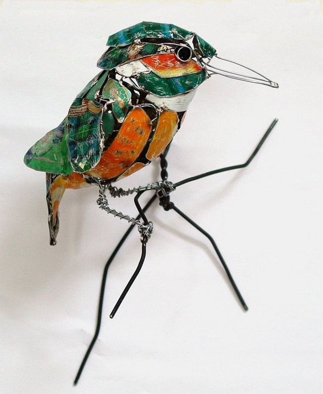 bird-7