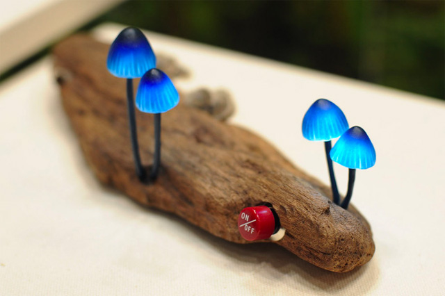 mushroom-8