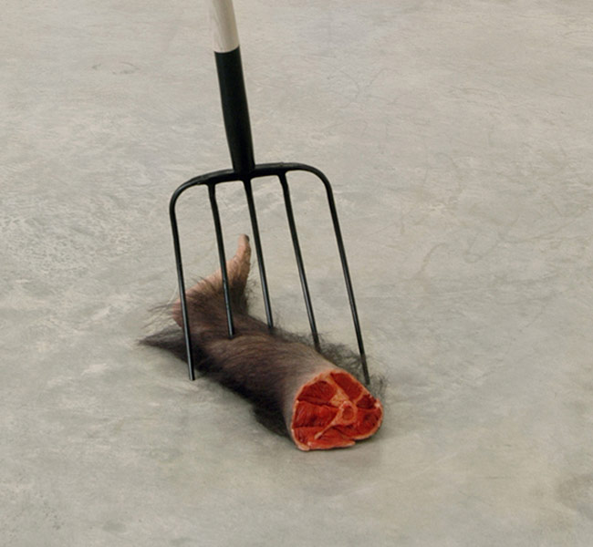 2005_FuckedChipLimb1_003