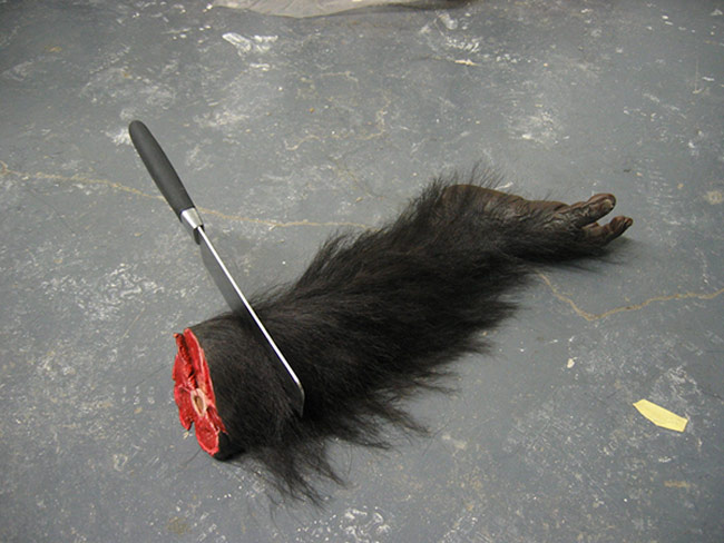 2005_FuckedChipLimb2_002