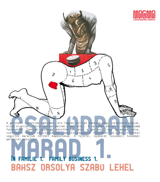 Orsolya BAÁSZ şi Lehel SZABÓ, „În familie” @ MAGMA Contemporary Art Space, Sf. Gheorghe