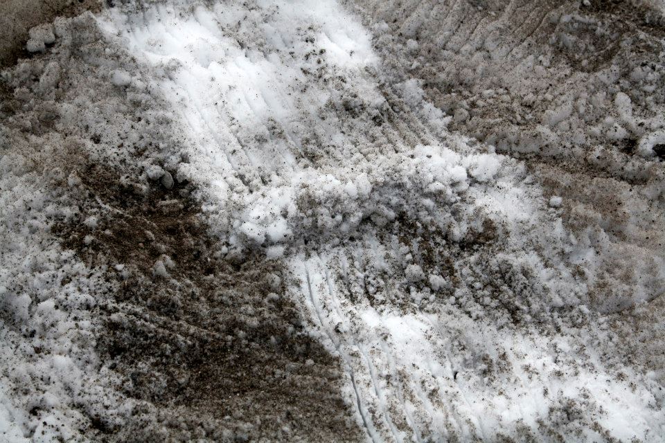 absenta incercuita foto maxim dumitras (10)