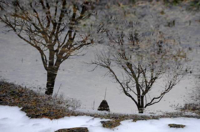 dosul girciului - singeorz bai foto lucianmuntean 036