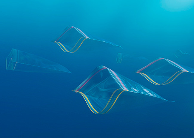Photos of Everyday Objects Transformed into Sea Creatures