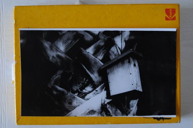 neil hollander - personal archive 50