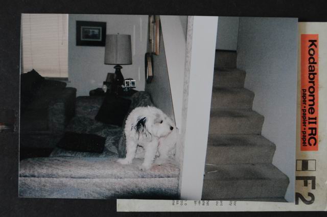 neil hollander - personal archive 67