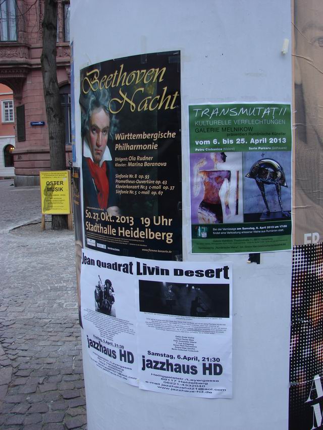 petru ciobanica - sorin purcaru_ transmutatii expo hoidelberg 39