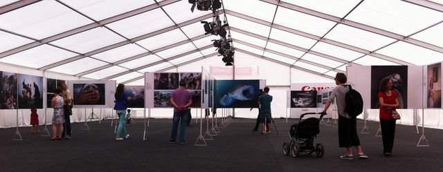 Arta de a povesti în imagini