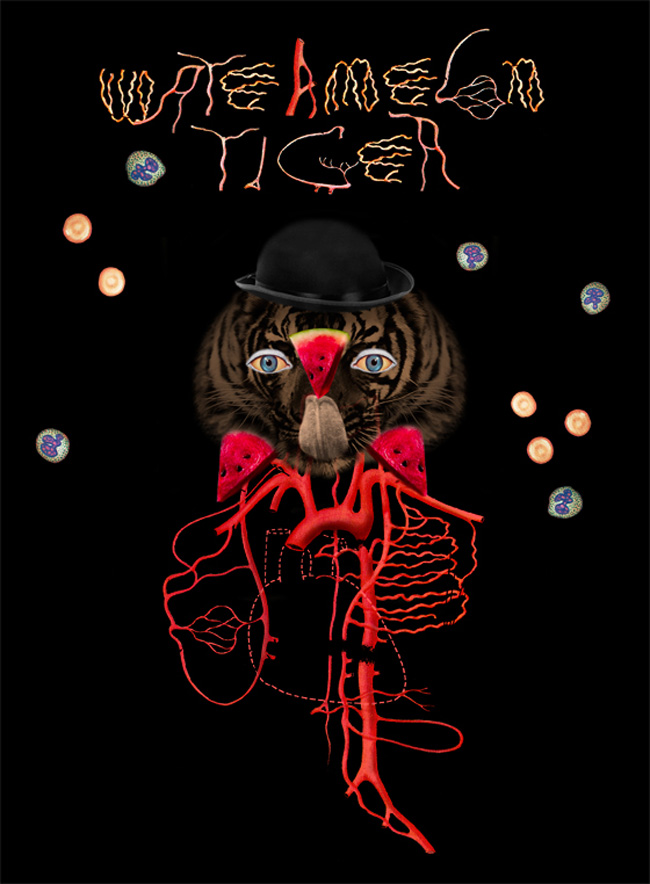 „Tigru.Pepene” @ Make a Point, București