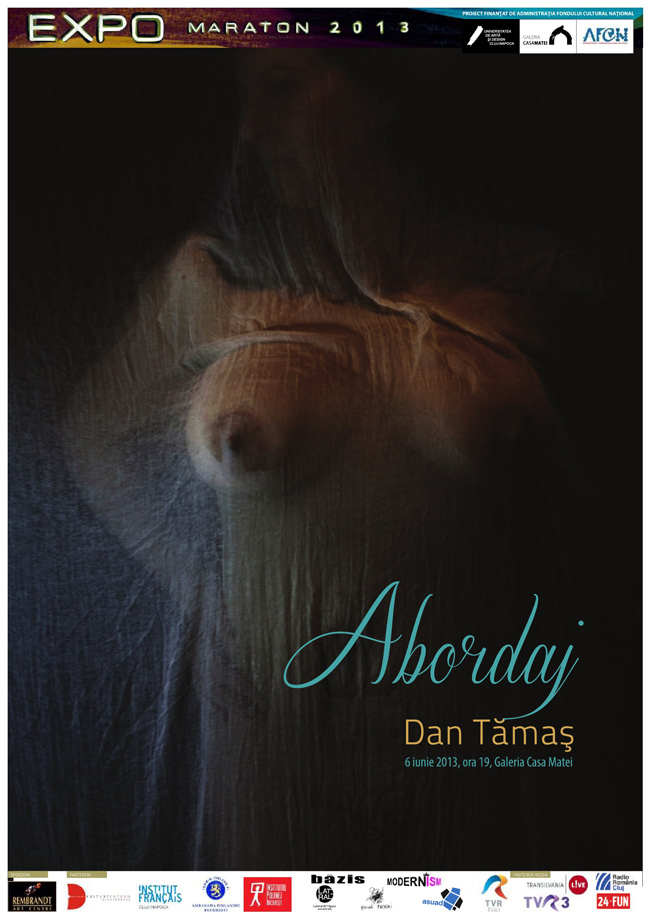 Expo Maraton 2013 la final: Dan Tămaş, „Abordaj” şi Anda Hermina Roman, „Umanul în natura moartă” @ Galeria Casa Matei, Cluj