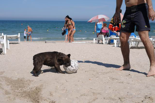 mamaia - liroral - plaja - foto lucian muntean0011