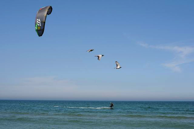 mamaia - liroral - plaja - foto lucian muntean0013