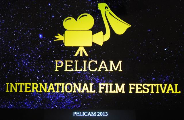 Festivalul internaţional de film Pelicam 2013 – Tulcea