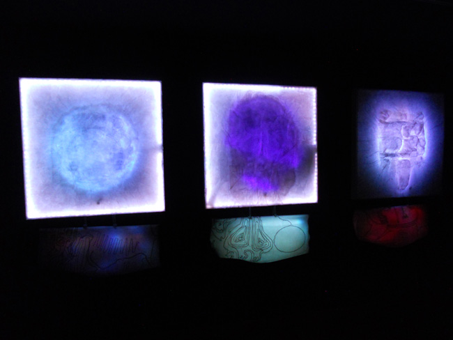 Personal Structures @ Venice Art Biennale 2013 (24)