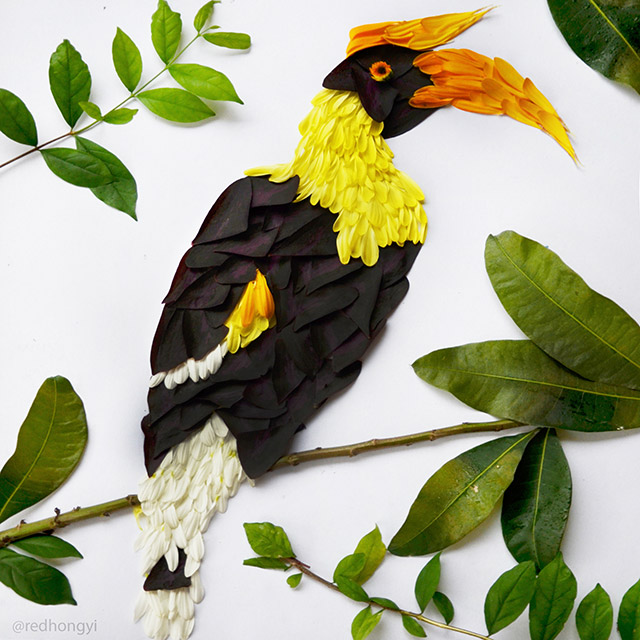 birds-6