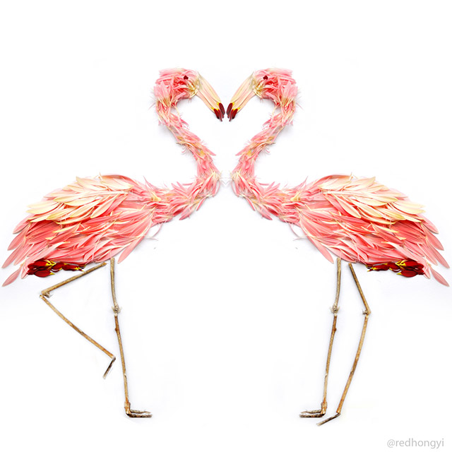 birds-7