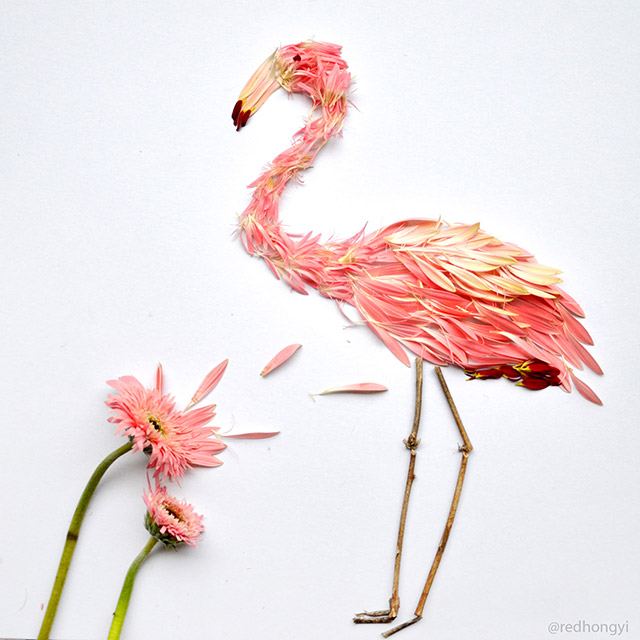 birds-8