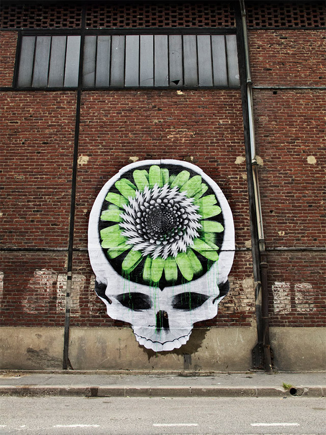 ludo-3