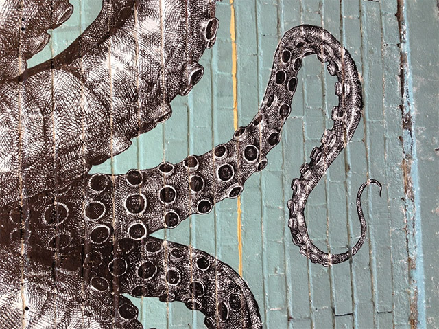 octo-5