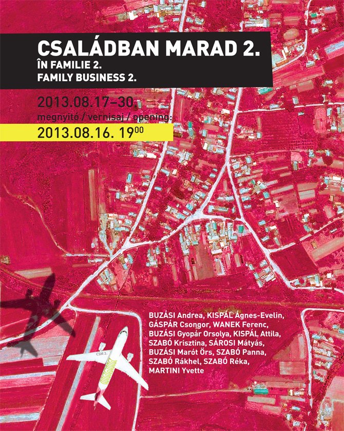 Expoziție „ÎN FAMILIE 2” @ Spațiul Expozițional de Artă Contemporană MAGMA, Sf. Gheorghe