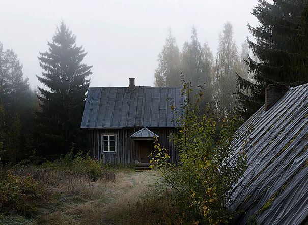 abandoned-house-animals-kai-fagerstrom-23