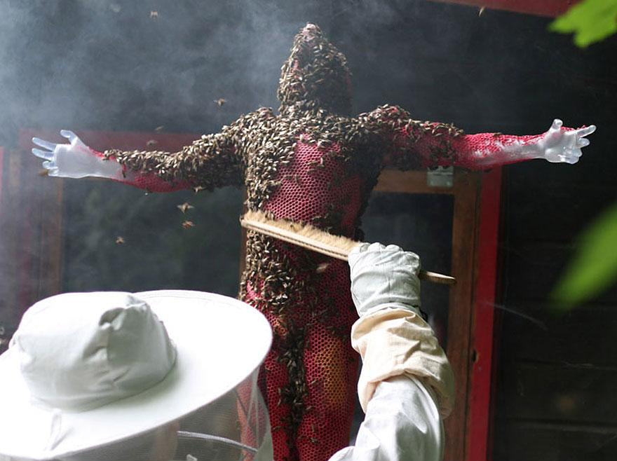 amazing-3d-sculptures-built-by-bees-21