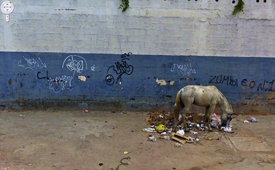 funny-google-street-view-photos-10