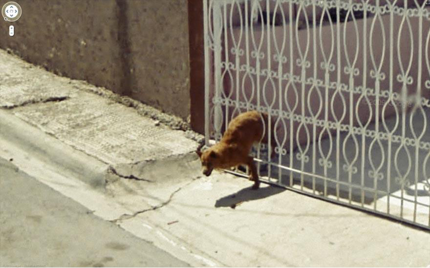 funny-google-street-view-photos-23
